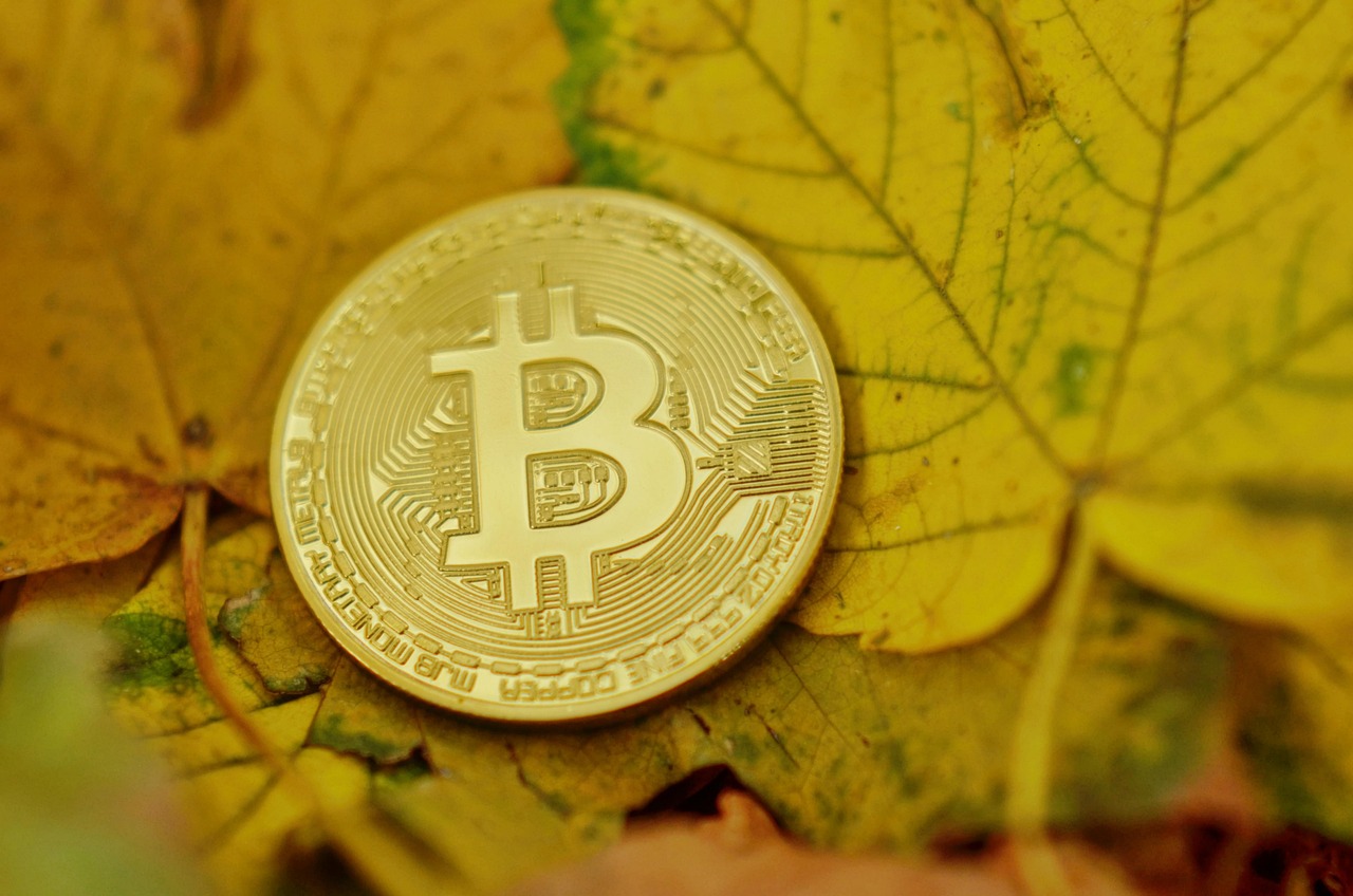 DWF Labs投资川普加密货币WLFI！支持机构级稳定币USD1